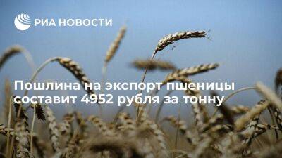 Минсельхоз: пошлина на экспорт пшеницы из России с 27 июля составит 4951,7 рубля за тонну