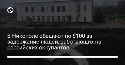 В Никополе обещают по $100 за задержание людей, работающих на российских оккупантов