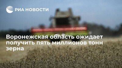 Губернатор Гусев: Воронежская область ожидает получить свыше пяти миллионов тонн зерна