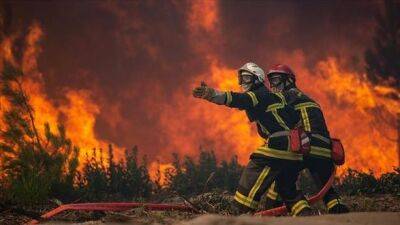 Более 1700 человек погибли в Португалии и Испании из-за сильной жары в Европе