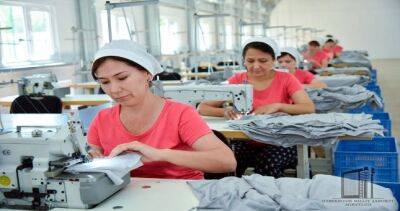 Безработным узбекистанкам компенсируют 70% стоимости курсов по обучению профессиям