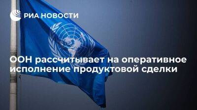 Представитель ООН: организация нацелена на оперативное исполнение продуктовой сделки