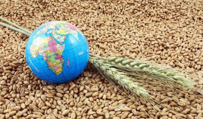 В ООН назвали терміни відновлення експорту українського зерна