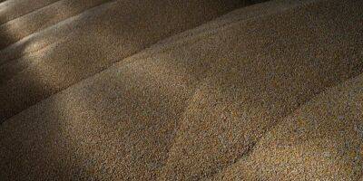 Anna Voitenko - Экспорт украинского зерна может возобновиться уже в субботу — представители ООН - nv.ua - Украина - Турция