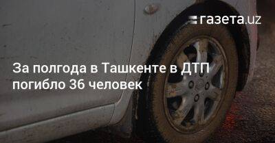 За полгода в Ташкенте в ДТП погибло 36 человек