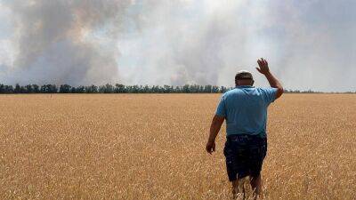 Украинские фермеры и война: "ситуация нерадостная"