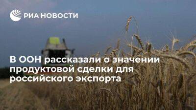 Генсек ЮНКТАД Гринспен: благодаря зерновой сделке издержки в российском экспорте снизятся
