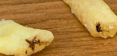 "І як тільки це туди потрапляє?": У російських ресторанах подають картоплю з тарганами