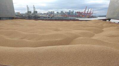 Україна продовжить підготовку до експорту зерна морем, - Кубраков