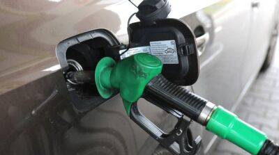 Цены на топливо в Украине: как обстоят дела с бензином, автогазом и дизтопливом