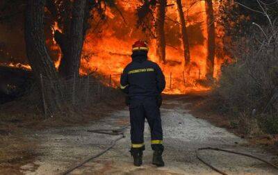 Греция - В Греции бушуют более полусотни лесных пожаров - korrespondent.net - Украина - Греция