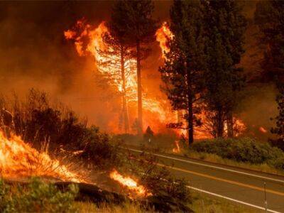 Греция - С греческого острова Лесбос из-за лесных пожаров эвакуируют людей - unn.com.ua - Украина - Киев - Италия - Польша - Словения - Греция