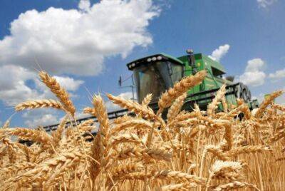 Украина уже собрала 6,5 миллионов тонн зерна нового урожая