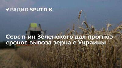 Советник Зеленского Устиненко: на вывоз зерна с Украины в лучшем случае уйдет 8-9 месяцев