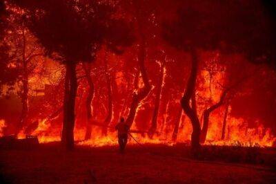 Греция - В Греции горят 53 лесных пожара в разных регионах страны - unn.com.ua - Украина - Киев - Франция - Испания - Греция