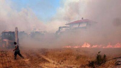 От Тенерифе до Греции — в Европе бушуют лесные пожары. Фото