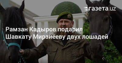 Рамзан Кадыров подарил Шавкату Мирзиёеву двух лошадей