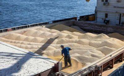 Украина и США разрабатывают «план Б» по вывозу зерна