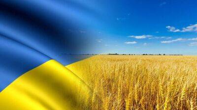 США работают над "планом Б" для экспорта украинского зерна после обстрела Одессы