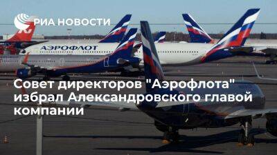 Совет директоров "Аэрофлота" избрал Александровского главой компании на пять лет