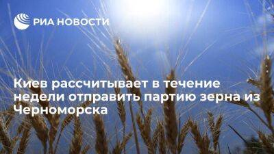 Киев рассчитывает в течение недели отправить первую партию зерна из порта Черноморск