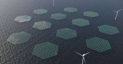 В Северном море запустят "плавучий ковер" из солнечных батарей: как работает система