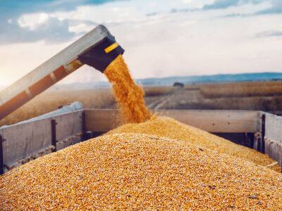 В Минагрополитики Укрины рассказали, как разблокировка портов повлияет на цену зерна