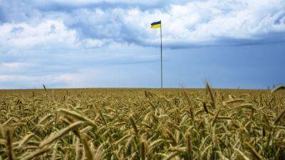 Зеленский подтвердил, что Украина вскоре возобновит экспорт зерна