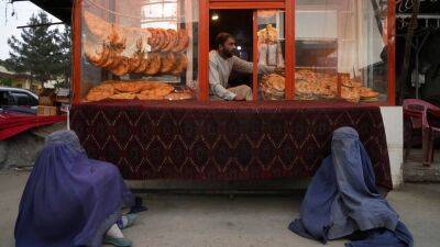 Афганистан: "Права женщин практически исчезли"