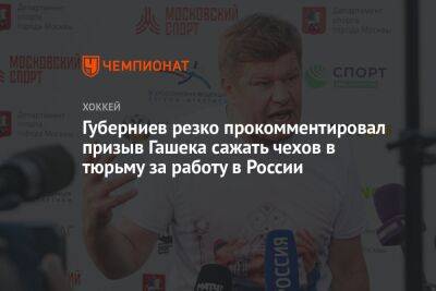 Губерниев резко прокомментировал призыв Гашека сажать чехов в тюрьму за работу в России