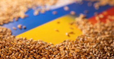 Харчовий шантаж: чому Путін успішно саботує експорт українського зерна