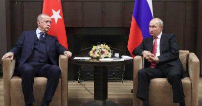 Эрдоган приедет к Путину в Сочи: обсудят войну в Украине и зерновой коридор
