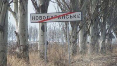 Окупанти захопили Новолуганське, - місцевий чиновник