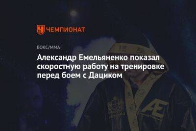 Александр Емельяненко показал скоростную работу на тренировке перед боем с Дациком