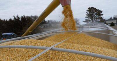 Из Украины по коридору могут вывезти 25 млн тонн зерна до конца года, – Bloomberg