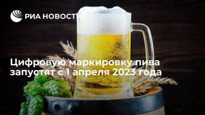 Минпромторг и пивовары договорились начать цифровую маркировку пива с 1 апреля 2023 года