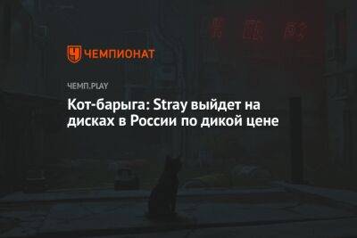 Кот-барыга: Stray выйдет на дисках в России по дикой цене
