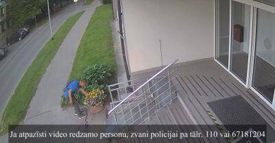 ВИДЕО: Полиция просит опознать хулигана, сорвавшего цветы на клумбе