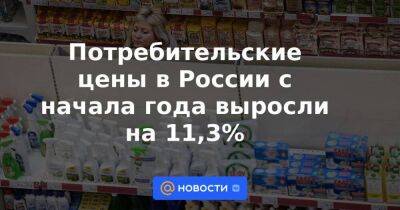 Потребительские цены в России с начала года выросли на 11,3%