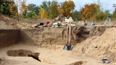 Омского археолога задержали в экспедиции по делу о фейках