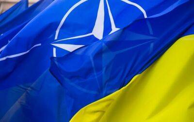 Польша и Литва помогут Украине начать переговоры о вступлении в НАТО