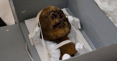 В Британии на чердаке нашли голову 2000-летней мумии (фото)
