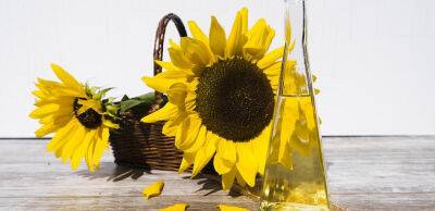 Індія збирається відновити імпорт української соняшникової олії з вересня