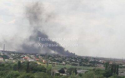 Возле Чернобаевки сильный пожар