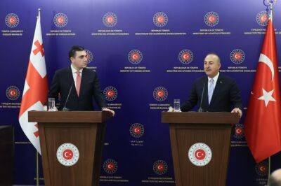 Глава МИД Чавушоглу: Турция готова провести очередные российско-украинские мирные переговоры