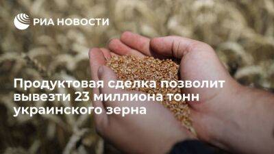 ООН: реализация продуктовой сделки позволит вывезти 23 миллиона тонн зерна с Украины