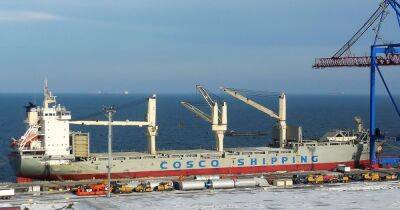 Первый корабль с украинским зерном покинет порт завтра, — замгенсека ООН