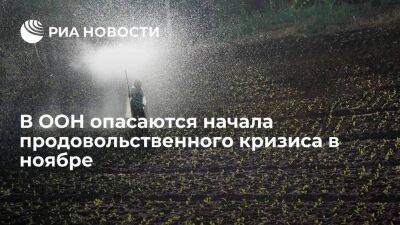 Владимир Путин - В ООН опасаются начала продовольственного кризиса в ноябре при отсутствии удобрений - smartmoney.one - Москва - Россия - Украина - Киев - Турция - Одесса - Одесса - Стамбул - Стамбул - Москва - Киев