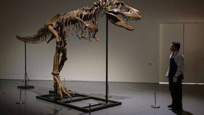 Скелет редкого Горгозавра продан за 6,1 млн долларов на аукционе в Нью-Йорке