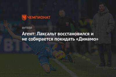 Агент: Лаксальт восстановился и не собирается покидать «Динамо»